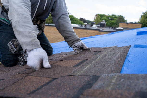 Best Roof Gutter Cleaning  in Redington Beach, FL
